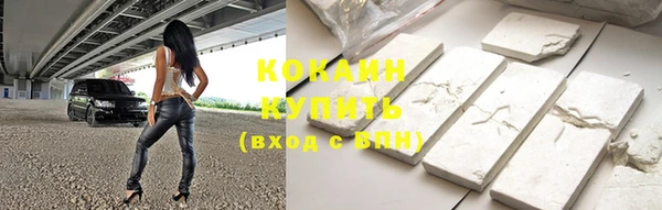шишки Богданович
