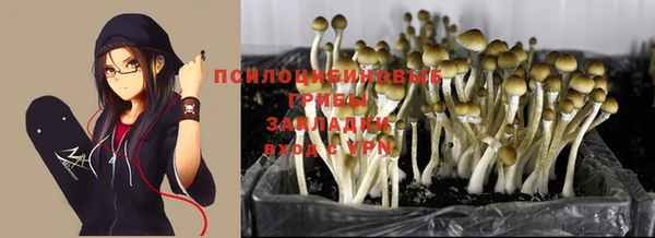 бутират Богородицк