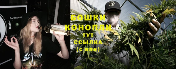 шишки Богданович