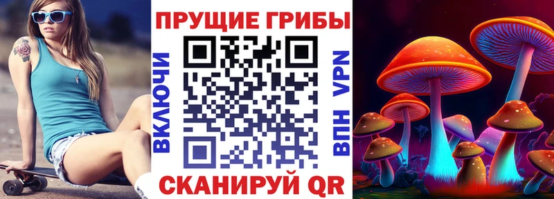 Купить закладки  Бугуруслан  Галлюциногенные грибы Cubensis 